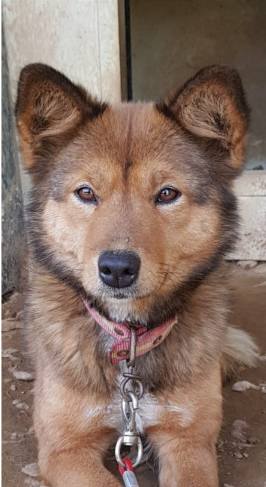 【お知らせ】2月第2週 東京競馬場 走路状態レポート更新